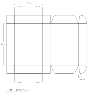 Diseño de caja de empaque OEM para equipo estético LANGWEN